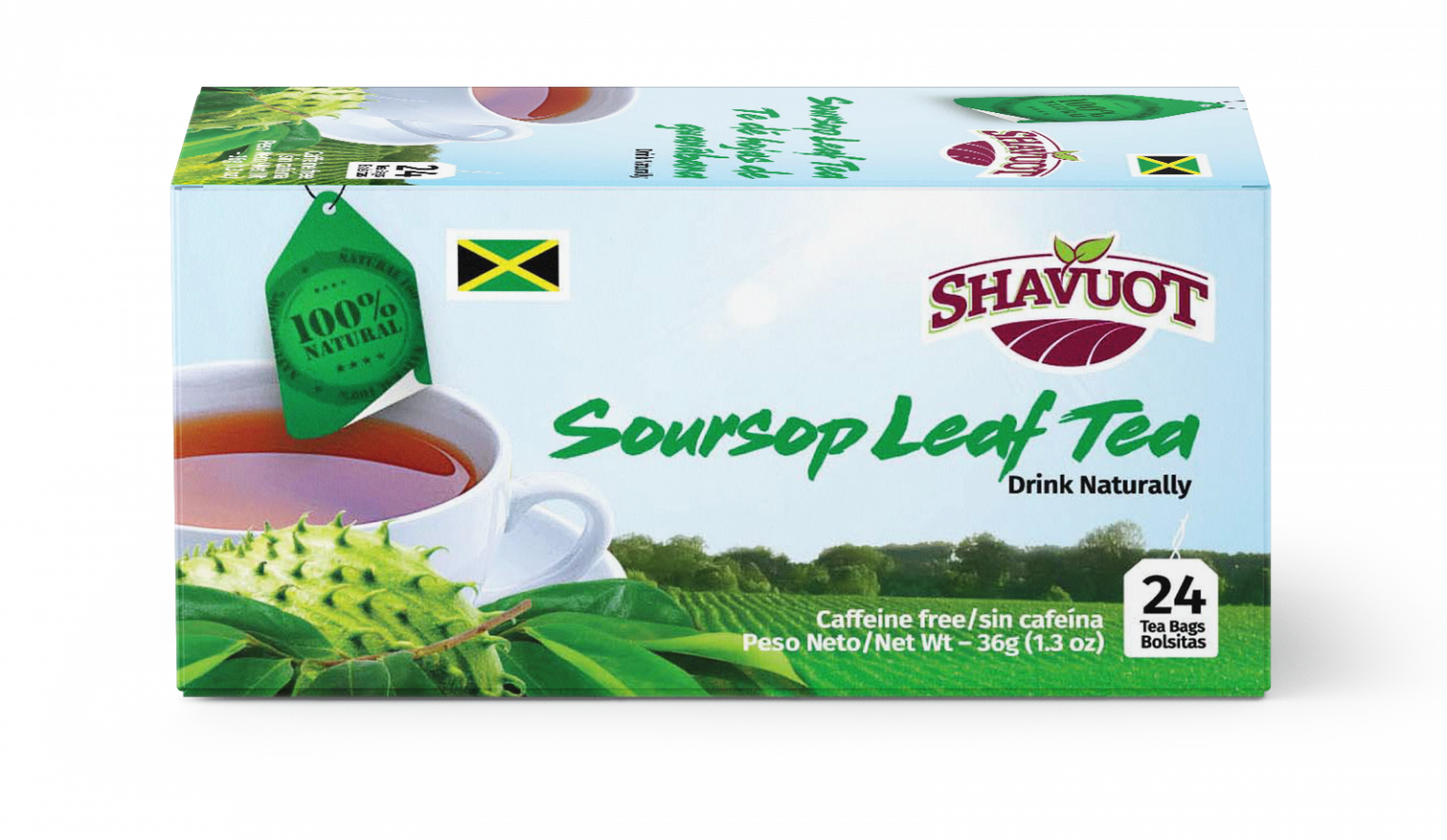 Shavuot Soursop Leaf Tea (24 tea bags)