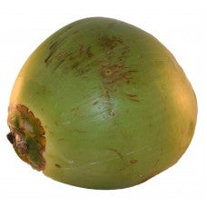 JELLY COCONUT