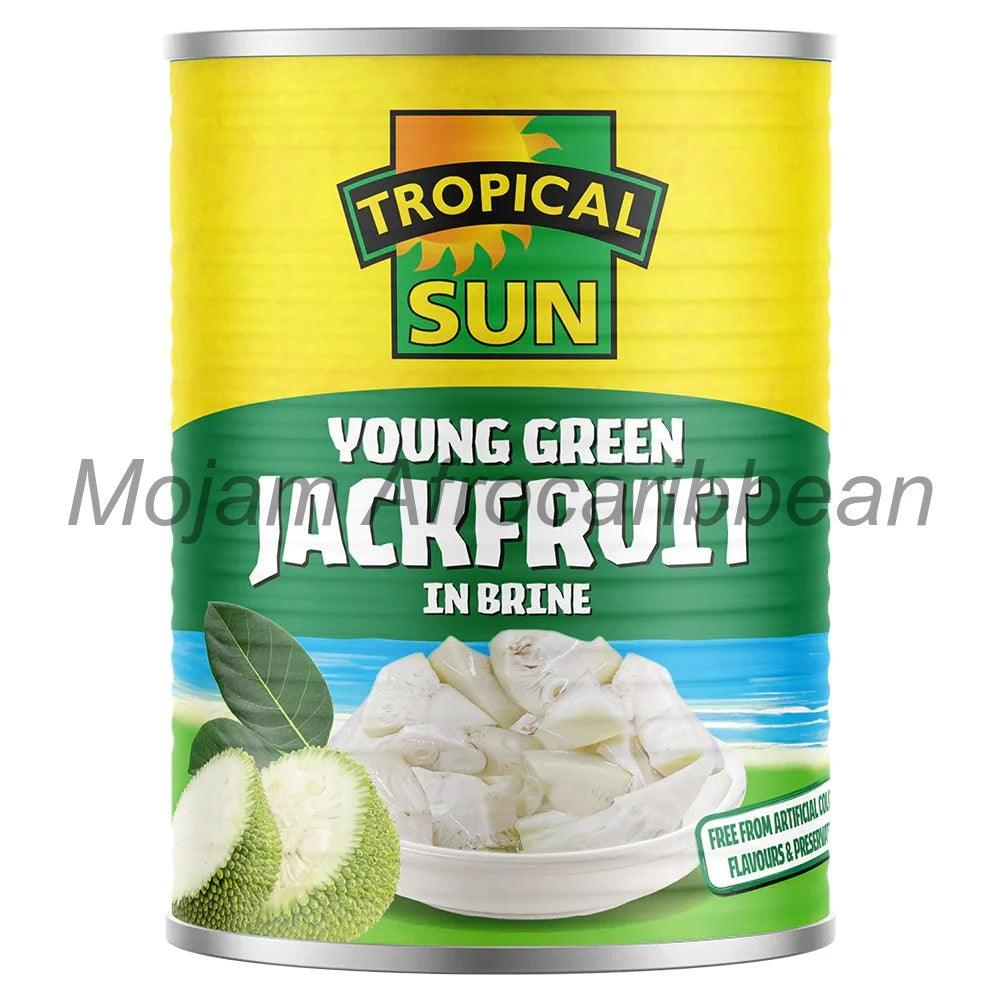 Tropical Sun Young Green Jackfruit in Brine (565g)