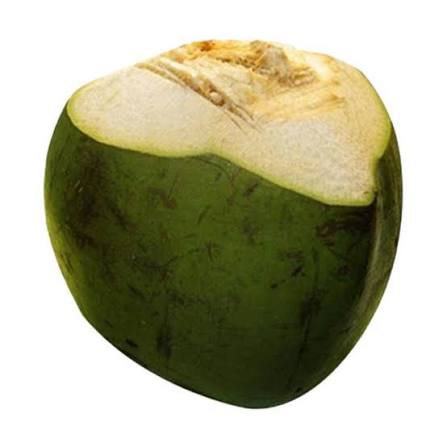 JELLY COCONUT