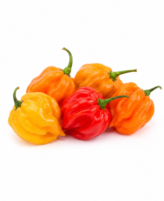 Scotch Bonnet (4 for £1.00)