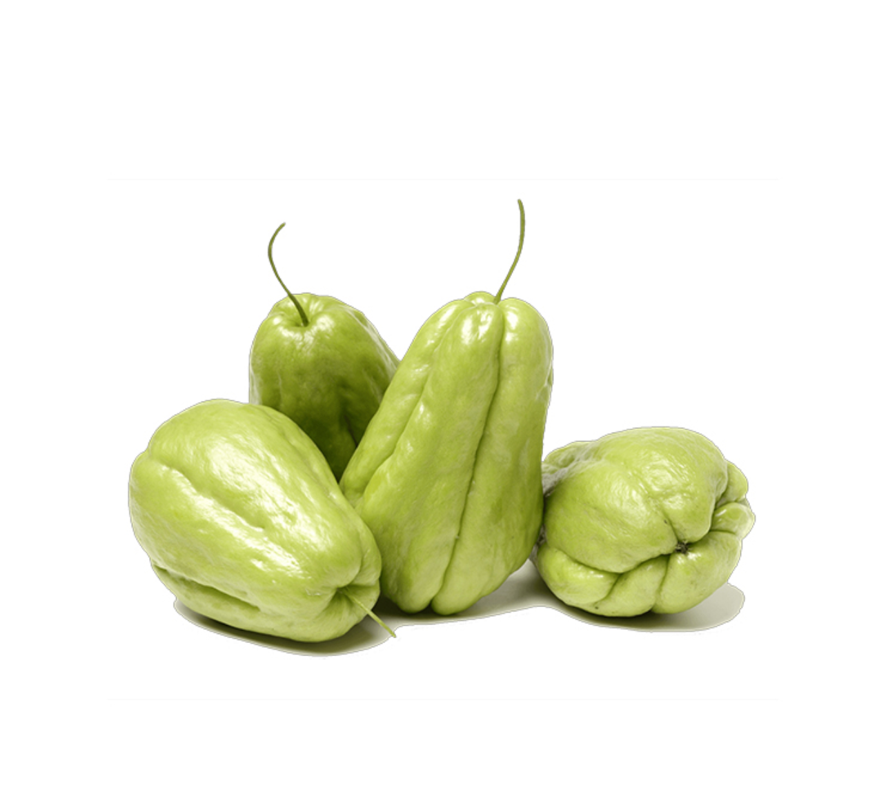 Chow Chow (Chayote)